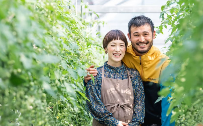 宮トマトジェラート 80ml×6個 / ジェラート トマト とまと アイス　アイスクリーム スイーツ / 諫早市 / 宮下農園 [AHCG032]