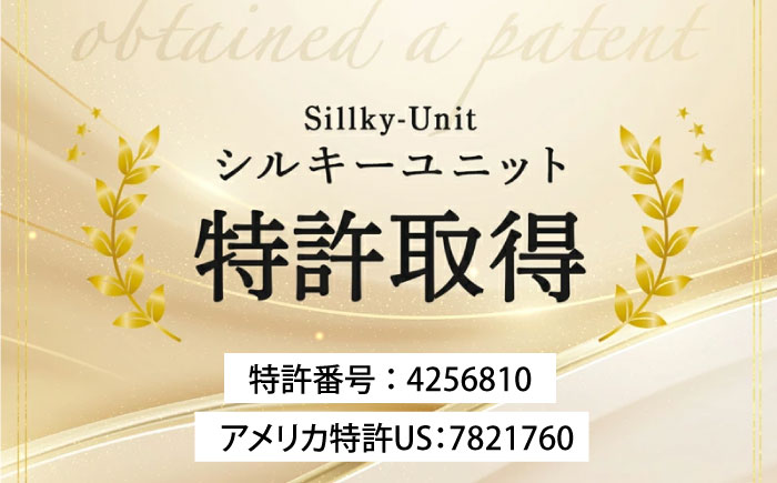 シルキーユニット ハイスペック（バッテリー取付用ノイズフィルター） / 車 ノイズフィルター 自動車 音質向上 静電気抑制 カー用品 / 諫早市 / オーディオ・ラボ有限会社 [AHDF006]