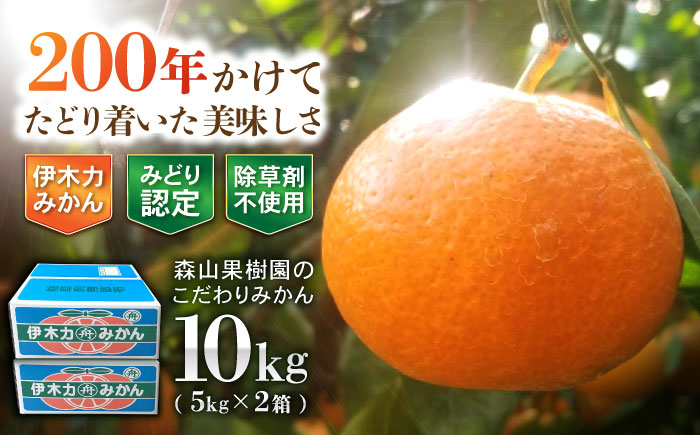 伊木力産　森山果樹園のこだわりみかん　10kg(5kg×2) / みかん ミカン 柑橘 伊木力みかん 温州みかん 10kg / 諫早市 / 森山果樹園 [AHCO010]