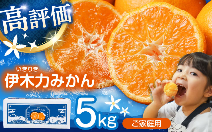 〈1週間以内に発送〉伊木力みかん (家庭用) 5kg / みかん ミカン 蜜柑 オレンジ フルーツ 果物 / 諫早市 / 山野果樹園 [AHCF002R]