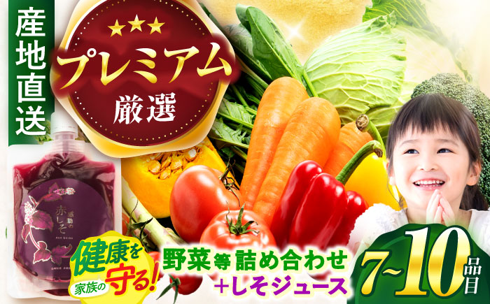 野菜等詰め合わせセットプレミアムセット(7〜10品目) / 野菜 果物 フルーツ くだもの きのこ / 諫早市 / 松尾農園 [AHAY004]