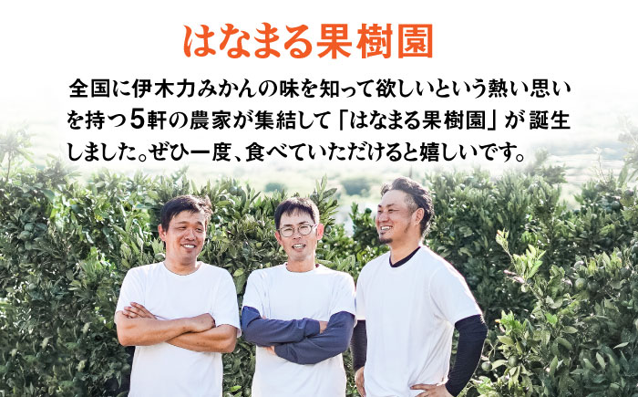 ※【2025年11月発送分／先行予約】伊木力みかん（大玉）10kg / みかん ミカン 蜜柑 フルーツ 果物 / 諫早市 / 山野果樹園 [AHCF005]