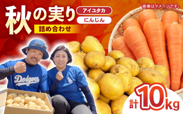 秋の実り詰合せ（アイユタカ・ニンジン）10kg / じゃがいも ジャガイモ ポテト 九州 あいゆたか アイユタカ にんじん ニンジン 人参 野菜 やさい / 諫早市 / スマイルファーム　 [AHFG009]