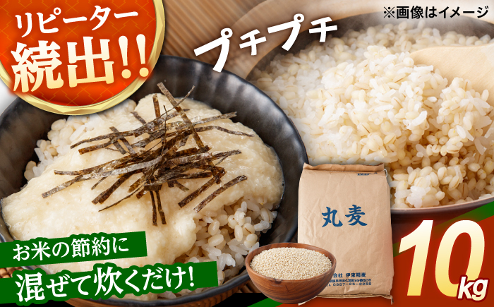 長崎県産 丸麦 10kg / 麦 むぎ 雑穀 雑穀米 麦ごはん 10kg 麦飯 麦みそ 食物繊維 長崎県産 米 こめ コメ ※ / 諫早市 / 有限会社伊東精麦 [AHBU005]