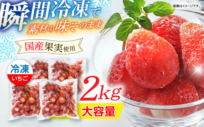 【業務用】大容量 長崎いちご 4袋セット / 冷凍 冷凍フルーツ いちご イチゴ 苺 2kg / 諫早市 / エスジーエス株式会社 [AHEQ005]