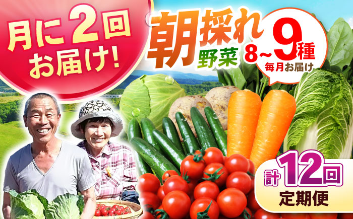 月2回お届け 【12回定期便】諫早産 野菜の詰め合わせ 8～9品目程度 / 季節 旬 野菜 やさい 春野菜 夏野菜 秋野菜 野菜セット 詰め合わせ 野菜定期 野菜定期便 定期便 / 諫早市 / 肥前グローカル株式会社 [AHDI014]