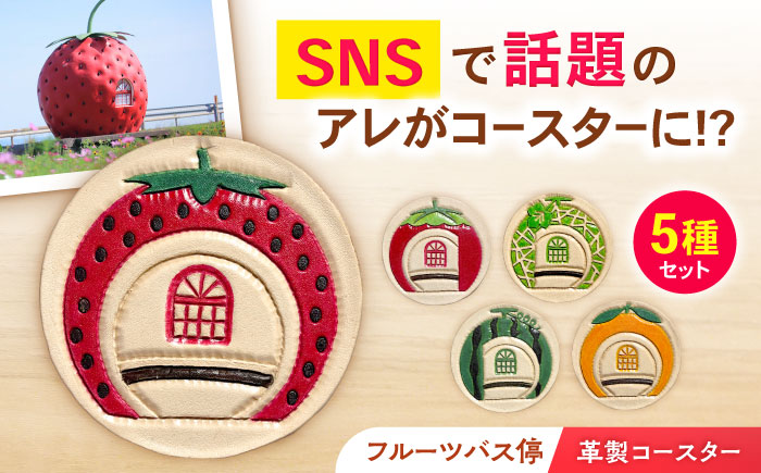 フルーツバス停コースターセット / 小物 こもの 雑貨 ざっか カラフル グラス コップ/artigiano maldestro [AHEX003]