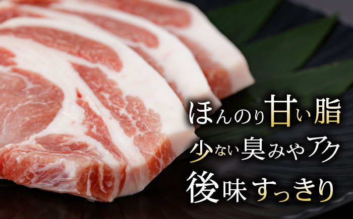 諫美豚のロースステーキセット800g / 諫美豚 ロース ロースステーキ ステーキ 豚肉 / 諫早市 / 株式会社土井農場 [AHAD045]