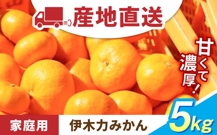 先行予約 伊木力みかん（家庭用）5kg / みかん ミカン 蜜柑 フルーツ 果物 / 諫早市 / 山野果樹園 [AHCF002]