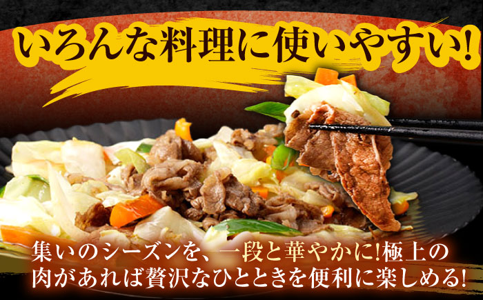 【12回定期便】長崎和牛 切り落とし 2kg（400g×5）肩ロース・モモ・カタ・バラ使用 / 牛肉 ぎゅうにく 肉 和牛 国産牛 切落し?/ 諫早市 / 西日本フード株式会社 [AHAV030]