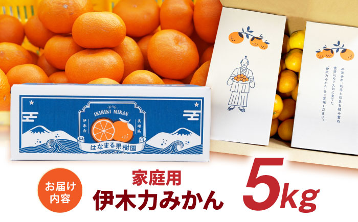 伊木力みかん (家庭用) 5kg / みかん ミカン 蜜柑 オレンジ フルーツ 果物 / 諫早市 / 山野果樹園 [AHCF002]