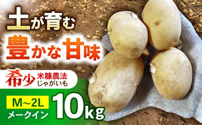 ジャガイモ(メークイーン)　10kg / 諫早市 / 未来ファーム [AHEY003]