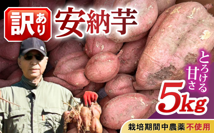 【訳あり】栽培期間中農薬不使用 安納芋 5kg / いも イモ 芋 さつまいも さつま芋 サツマイモ 安納芋 スイーツ 訳あり 訳アリ / 諫早市 / ふるさと有明ファーム [AHAQ002]