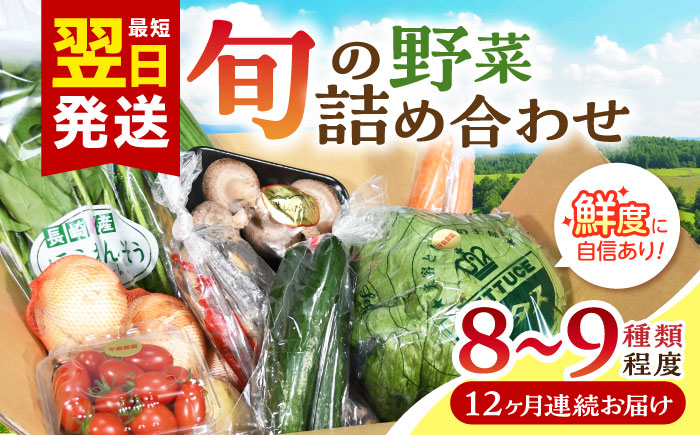 【12回定期便】諫早産野菜の詰め合わせ(8〜9品目程度) / 季節 旬 野菜 春野菜 夏野菜 秋野菜  / 諫早市 / 肥前グローカル株式会社  [AHDI003]