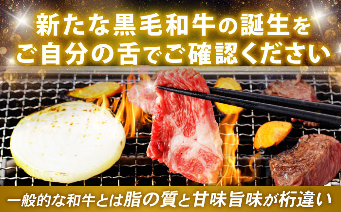 【特Aのブランド米で育てた】諫美牛 カルビ 500g(250g×2) / 牛肉 ぎゅうにく 和牛 牛 肉 国産 かるび 焼肉 やきにく / 諫早市 / 株式会社土井農場 [AHAD091]