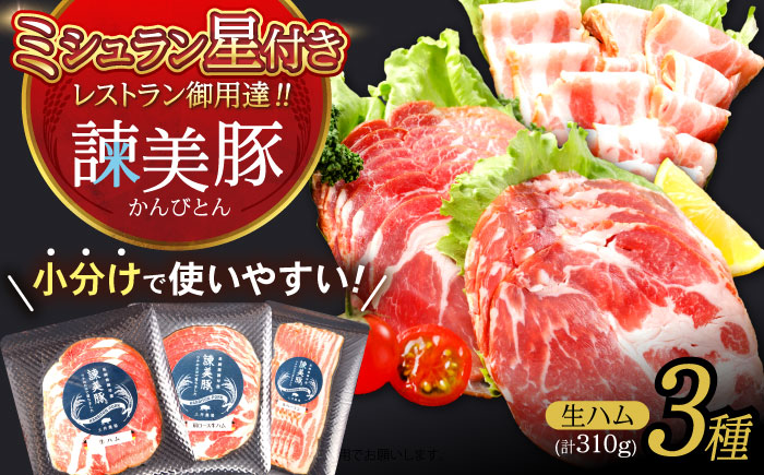 諫美豚生ハム＆生ベーコン3種セット計4P / 豚肉 ハム 生ハム ベーコン 生ベーコン ロース 肩ロース バラ 小分け / 諫早市 / 株式会社土井農場 [AHAD058]