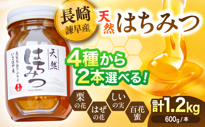 【4種から選べる】 長崎県産天然はちみつ600g×2本セット / 百花蜜 百花蜂蜜 蜂蜜 はちみつ ハチミツ / 諫早市 / 坂口養蜂 [AHDB003]