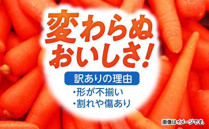 ※【2026年1月より順次発送／先行予約】【訳あり】【甘みと栄養たっぷり！】真っ赤な人参 「紅天神」 10kg / にんじん ニンジン 人参 やさい 野菜 訳あり 訳アリ わけあり ワケアリ / 諫早市 / 滝商店株式会社 [AHCU006]