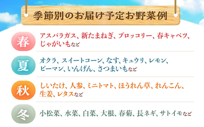 【12回定期便】諫早産 野菜の詰め合わせ 8〜9品目程度 / 季節 旬 野菜 春野菜 夏野菜 秋野菜 / 諫早市 / 肥前グローカル株式会社 [AHDI003]