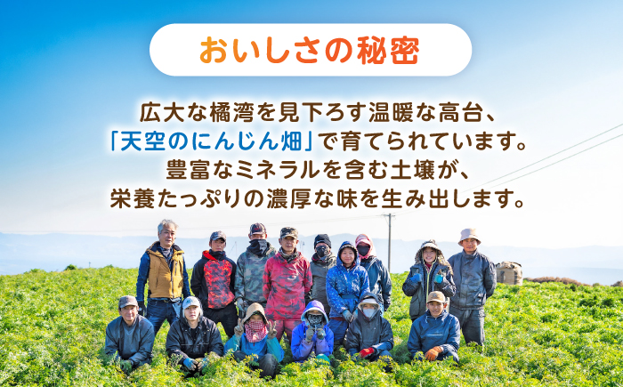 滝さんの人参 5kg / にんじん ニンジン 人参 carrot やさい 野菜 にんじんジュース 人参ジュース ニンジンジュース キャロット キャロットジュース / 諫早市 / 滝商店株式会社 [AHCU007]