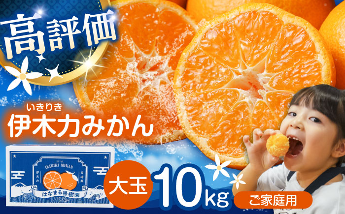 ※【2026年12月上旬より順次発送／先行予約】伊木力みかん(大玉) 10kg / みかん ミカン 蜜柑 フルーツ 果物 / 諫早市 / 山野果樹園 [AHCF005]