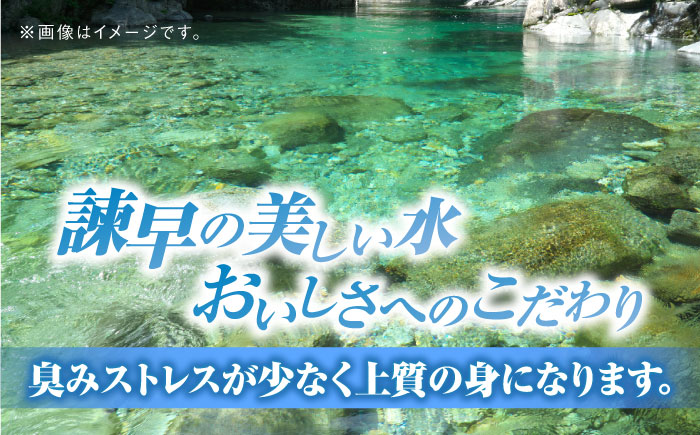 【最速発送】＜諫早淡水＞うなぎ蒲焼10尾 / うなぎ ウナギ 鰻 蒲焼き 蒲焼 国産 冷凍 小分け うな重 うな丼 ひつまぶし / 諫早市 / 活うなぎ問屋 諫早淡水 [AHAT003] スピード 最短 最速 発送