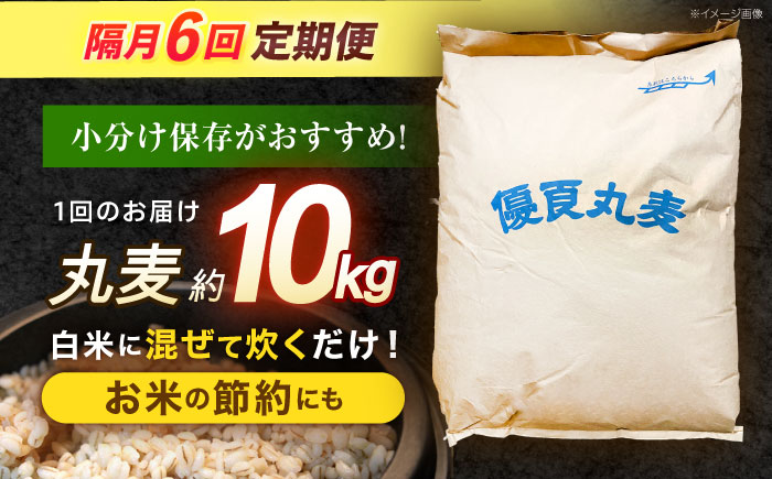 【隔月6回定期便】長崎県産 丸麦 10kg / 麦 むぎ 雑穀 雑穀米 麦ごはん 麦飯 麦みそ 食物繊維 長崎県産 米 こめ コメ ※ / 諫早市 / 有限会社伊東精麦 [AHBU007]