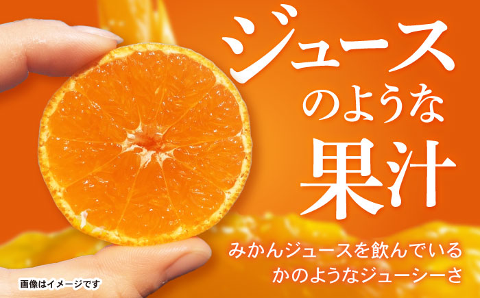 伊木力みかん 5kg / みかん ミカン 佐瀬みかん 伊木力みかん 濃い 温州みかん 薄皮 5kg / 諫早市 / 伊佐農園 [AHFI015]