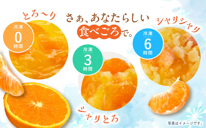 とろける味わい 200g 6種×各6個 計36個セット(みかん・ミックス・白桃・ぶどう・ピンクグレープフルーツ・シャインマスカット) [AHBR040]