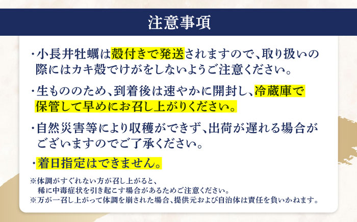 小長井牡蠣（殻付き）3kg 牡蠣ナイフ付き / かき カキ 牡蠣 海鮮 / 諫早湾漁業協同組合 [AHBJ005]