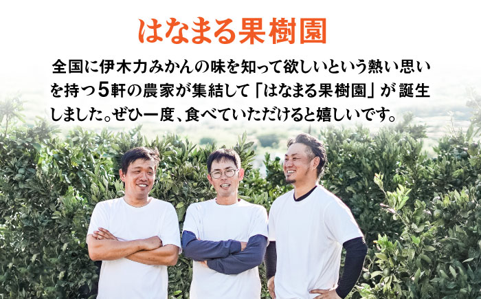 ※【2026年9月上旬より順次発送／先行予約】【グリーンレモンのみお届け】マイヤーレモン 5kg / レモン れもん 檸檬 果汁 グリーンレモン ぐりーんれもん 柑橘 フルーツ ふるーつ 果物 くだもの / 諫早市 / 山野果樹園 [AHCF015]