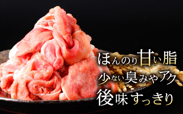 諫美豚 ウデ肉 切り落とし 2.1g（300g×7P）/ 豚肉 ぶたにく ウデ うで ウデ肉 うで肉 切り落とし 切り落し 切りおとし 小分け / 諫早市 / 株式会社土井農場 [AHAD083]