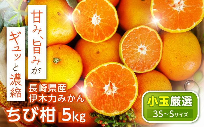 ※【2026年10月下旬より順次発送／先行予約】伊木力みかん(ちび柑) 5kg / みかん s みかんsサイズ ミカン 蜜柑 柑橘 フルーツ ふるーつ 果物 くだもの / 諫早市 / 山野果樹園 [AHCF013]