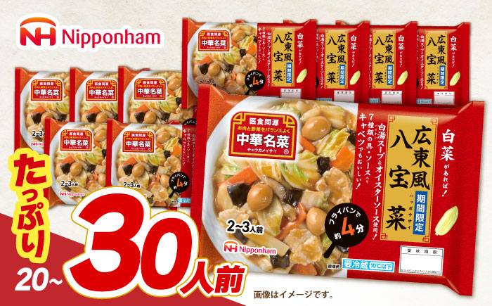 中華名菜 広東風八宝菜 (2〜3人前) 10個セット / 中華 八宝菜 惣菜 冷蔵 簡単調理 晩御飯 フライパン調理 ワンパンメニュー / 諫早市 / 日本ハムマーケティング株式会社 [AHAL017]