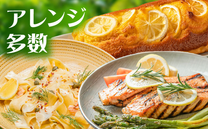 ※【2026年12月上旬より順次発送／先行予約】【ワックス不使用】国産 マイヤーレモン 5kg / レモン れもん 檸檬 フルーツ 果物 / 諫早市 / 山野果樹園 [AHCF004]