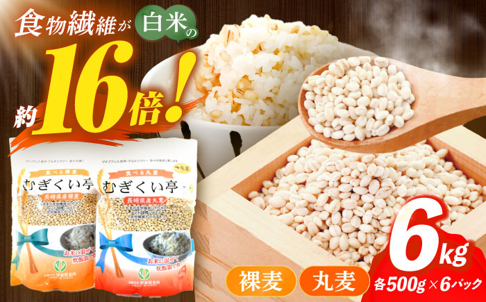 むぎくい亭(丸麦500gｘ6・裸麦500gｘ6) / 麦 丸麦 はだか麦 麦味噌 雑穀 雑穀米 / 諫早市 / 有限会社伊東精麦  [AHBU002] 