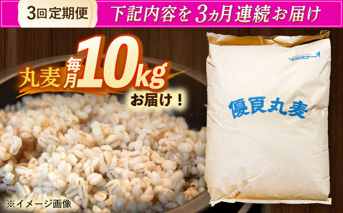 【全3回定期便】 長崎県産 丸麦 10kg / 麦 むぎ 雑穀 雑穀米 麦ごはん 麦飯 麦みそ 食物繊維 / 諫早市 / 有限会社伊東精麦 [AHBU006]