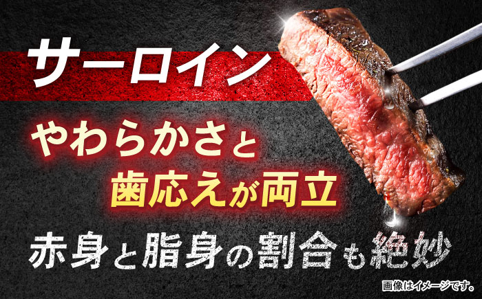 長崎和牛 サーロインステーキ 500g(250g×2) / 牛肉 和牛 国産牛 肉 ステーキ サーロイン / 諫早市 / 肉の牛長 諫早店 [AHEM001]