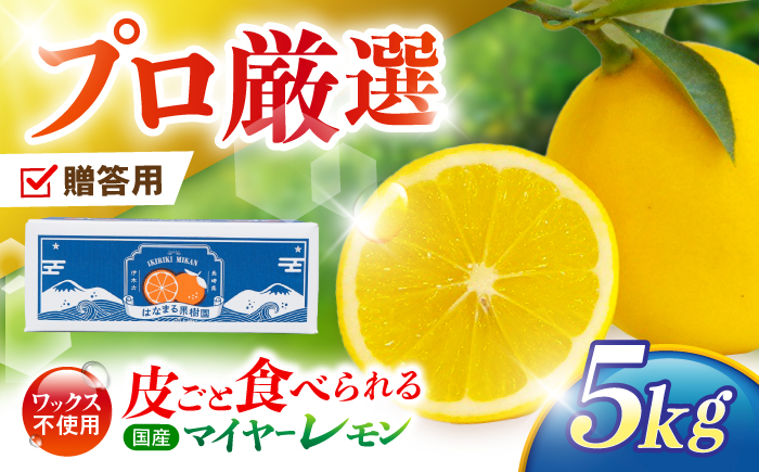 【贈答用】マイヤーレモン 5kg / レモン れもん 檸檬 果汁 柑橘 フルーツ ふるーつ 果物 くだもの / 諫早市 / 山野果樹園 [AHCF014]