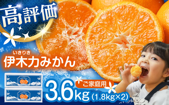 伊木力みかん (家庭用) 3.6kg(1.8kg×2) / みかん ミカン 蜜柑 オレンジ mikan 柑橘 かんきつ フルーツ ふるーつ 果物 くだもの / 諫早市 / 山野果樹園 [AHCF019]