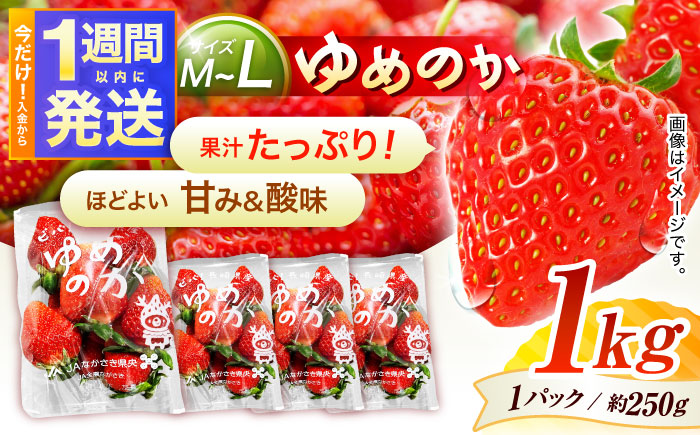 【1週間以内発送/限定数量】【家庭用に最適】長崎いちご「ゆめのか」M〜Lサイズ 約250g×4パック 合計1000g /苺 イチゴ フルーツ デザート ジューシー 食卓 おやつ 1kg 4P /諫早市/長崎県央農業協同組合Aコープ本部[AHAA034]