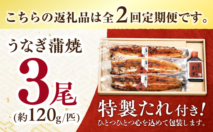 【2回定期便】北御門うなぎ蒲焼3尾入 / 特上 うなぎ 鰻 蒲焼 ウナギ / 諫早市 / 諫早観光物産　コンベンション協会 [AHAB015]