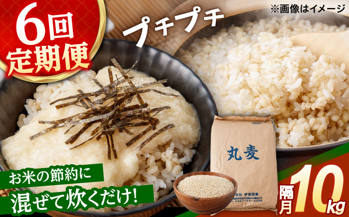 もち麦よりも『ぷりっ』とした弾力 【隔月6回定期便】長崎県産 丸麦 10kg / 麦 むぎ 雑穀 雑穀米 麦ごはん 麦飯 麦みそ 食物繊維 長崎県産 米 こめ コメ ※ / 諫早市 / 有限会社伊東精麦 [AHBU007]