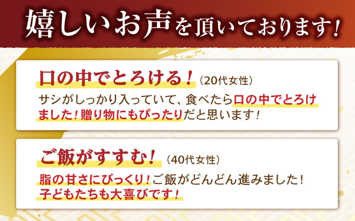 【6回定期便】【二大高級部位！】サーロイン と ヒレ ステーキ 計700g (各2枚) / 長崎和牛 A4〜A5ランク 希少部位 / 諫早市 / 野中精肉店 [AHCW082]