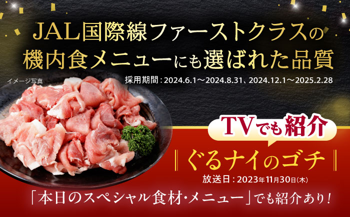 諫美豚ハンバーグ 10個(各150g) 計1.5kg / 豚肉 ハンバーグ はんばーぐ おかず 惣菜 冷凍 / 諫早市 / 土井農場 [AHAD064]