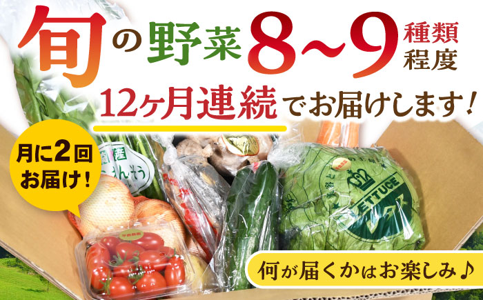 月2回お届け【24回定期便】諫早産 野菜の詰め合わせ 8～9品目程度 / 季節 旬 野菜 やさい 春野菜 夏野菜 秋野菜 野菜セット 詰め合わせ 野菜定期 野菜定期便 定期便 / 諫早市 / 肥前グローカル株式会社 [AHDI015]