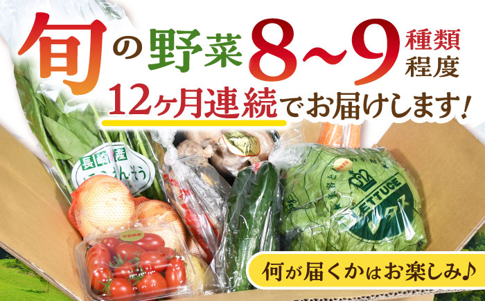 【12回定期便】諫早産 野菜の詰め合わせ 8〜9品目程度 / 季節 旬 野菜 春野菜 夏野菜 秋野菜 / 諫早市 / 肥前グローカル株式会社 [AHDI003]