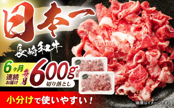 【6回定期便】長崎和牛 切落し 300g×2パック / 長崎和牛 切落し 和牛 国産牛 牛肉 / 諫早市 / 有限会社長崎フードサービス [AHDD007]