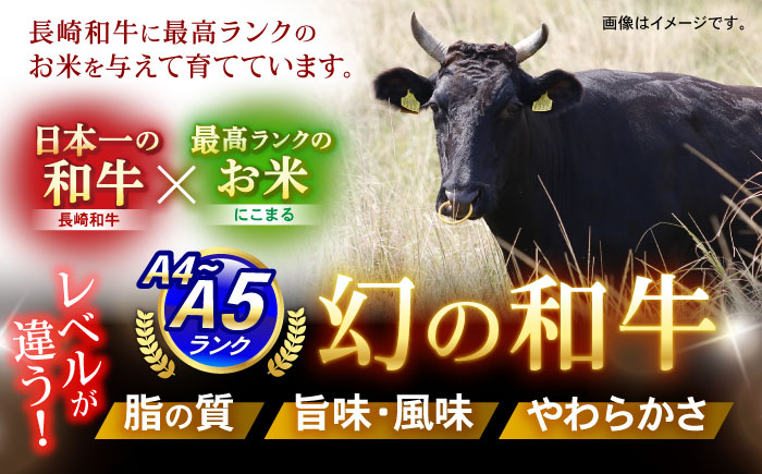 【特Aのブランド米で育てた】諫美牛 上カルビ 500g(250g×2) / 牛肉 ぎゅうにく 和牛 肉 焼肉 やきにく 国産 カルビ かるび / 諫早市 / 株式会社土井農場 [AHAD101]