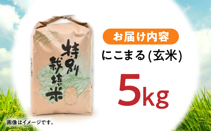 【R7年産】九州のこだわり「にこまる」玄米 5kg / 米 こめ お米 おこめ 玄米 げんまい にこまる ニコマル 長崎県産 / 諫早市 / 上島農産 [AHAS013]